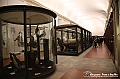 VBS_0989 - Riapre il Museo di Scienze Naturali dopo dieci anni di chiusura